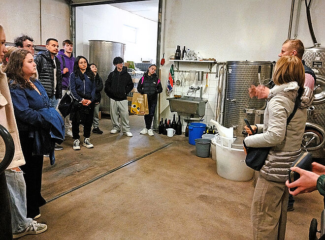 Einblick in den Weinkeller