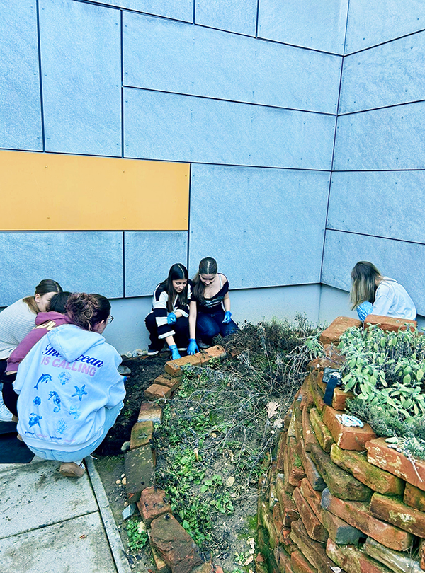 Schüler beim Garteln