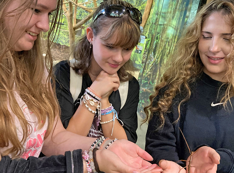 Drei Schülerinnen halten eine Stabheuschrecke