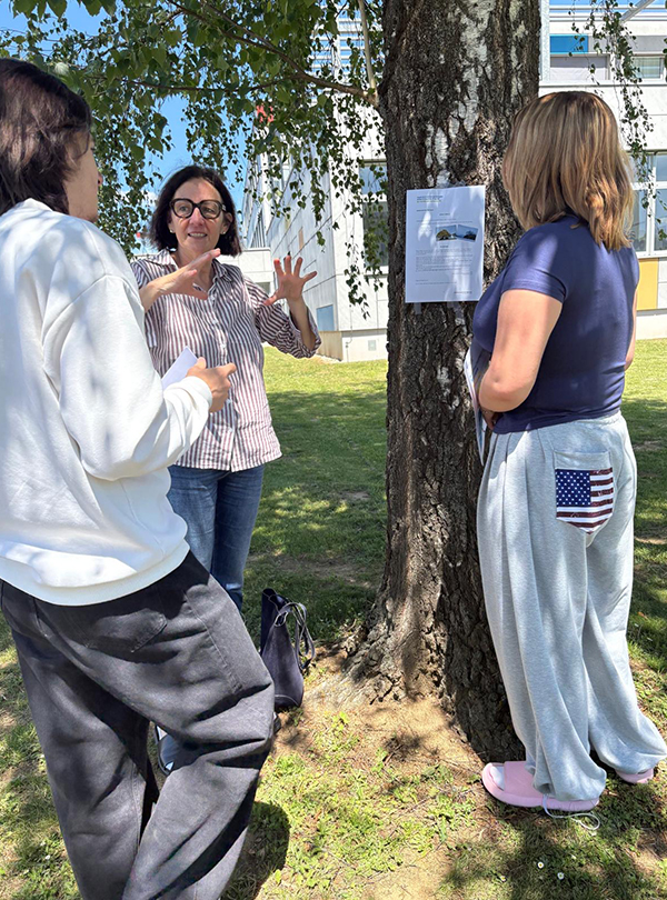 Quizstation draußen auf dem Baum