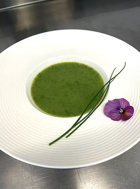 Grüne Suppe