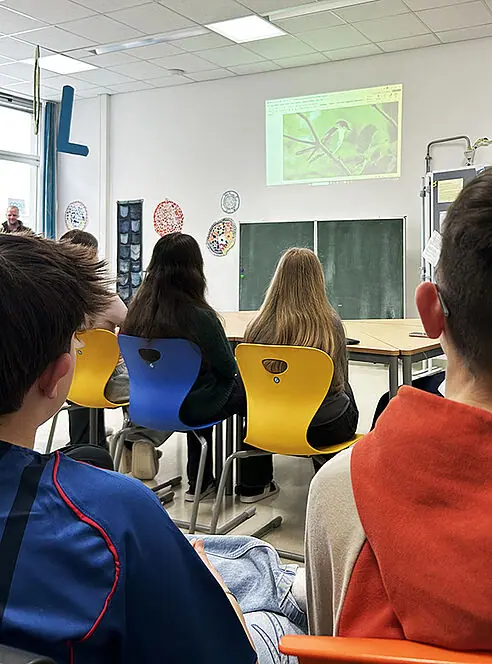 Klasse schaut auf den Beamer