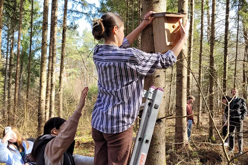 Schülerinnen bringen im Wald einen Nistkasten an